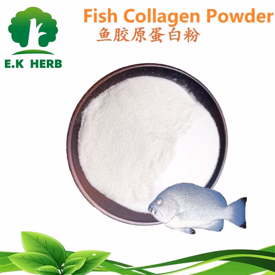 台湾ビューティーチャイナマリンコラーゲン無味ピュアコラーゲンペプチドメーカータラと魚の皮膚に潤いを与え、放射する皮膚コラーゲンパウダー