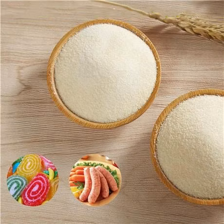 卸売魚ゼラチン粉末